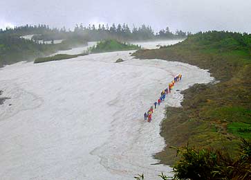 夕日が原付近を行く 夕日が原付近を行く登山者の画像